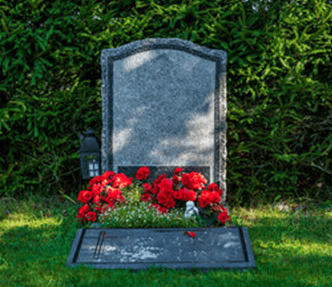 File #_ 425832985